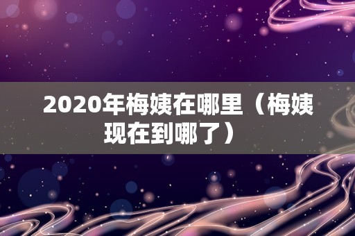 2020年梅姨在哪里（梅姨现在到哪了） 