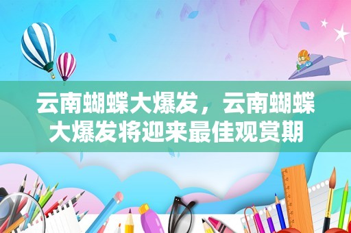 云南蝴蝶大爆发，云南蝴蝶大爆发将迎来最佳观赏期