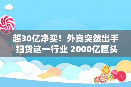 超30亿净买！外资突然出手 扫货这一行业 2000亿巨头被买得最多！牛市旗手却被卖超35亿！