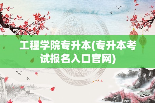 工程学院专升本(专升本考试报名入口官网)