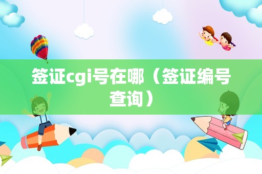 签证cgi号在哪（签证编号查询）