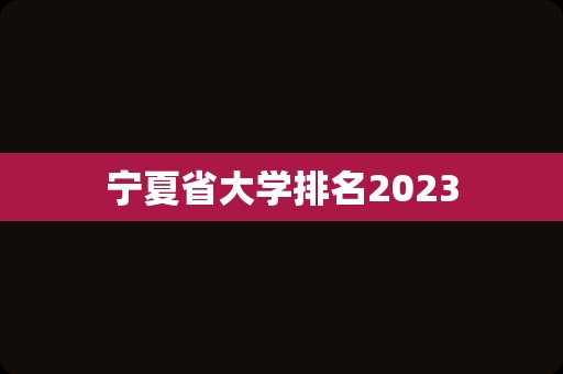 宁夏省大学排名2023