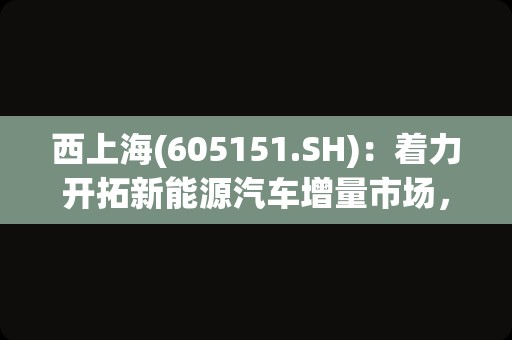 西上海(605151.SH)：着力开拓新能源汽车增量市场，做强做大主营业务